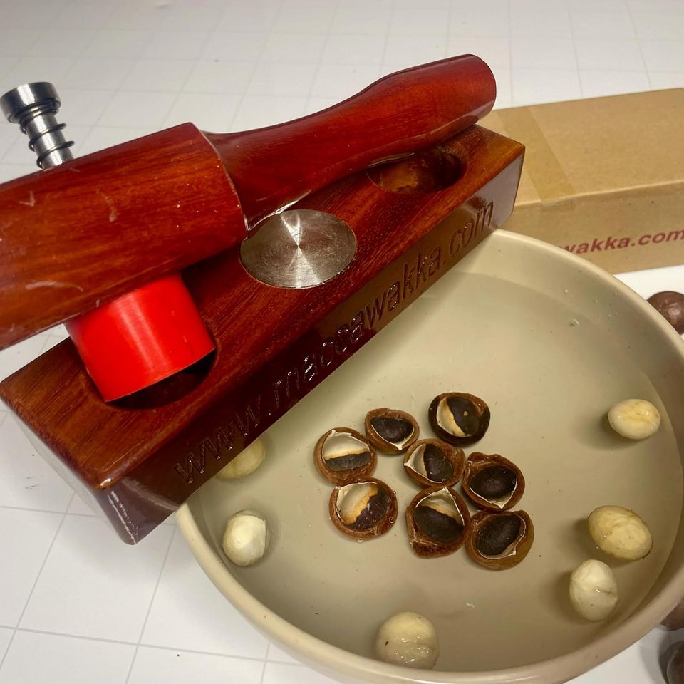 MaccaWakka beside a bowl of water with cracked macadamia shells sunk at the bottom and kernels floating